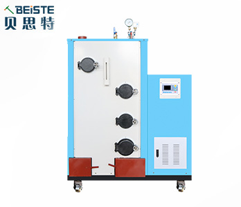 100-300kg生物質蒸汽發生器