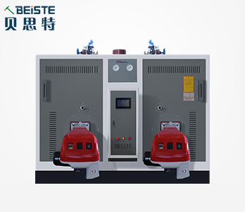 2噸燃油燃?xì)庹羝l(fā)生器(雙燃燒機(jī)) 2噸燃油燃?xì)庹羝l(fā)生器(雙燃燒機(jī))